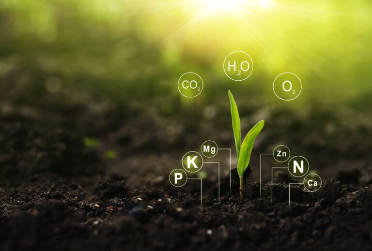 Lựa chọn tiêu chuẩn tín chỉ carbon: Bài toán chiến lược cho lộ trình xanh của doanh nghiệp